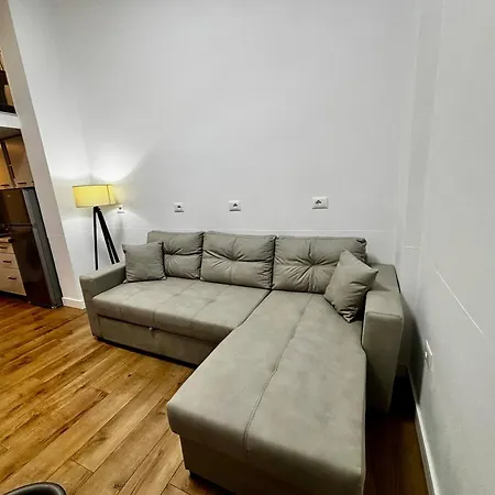 Loft 公寓